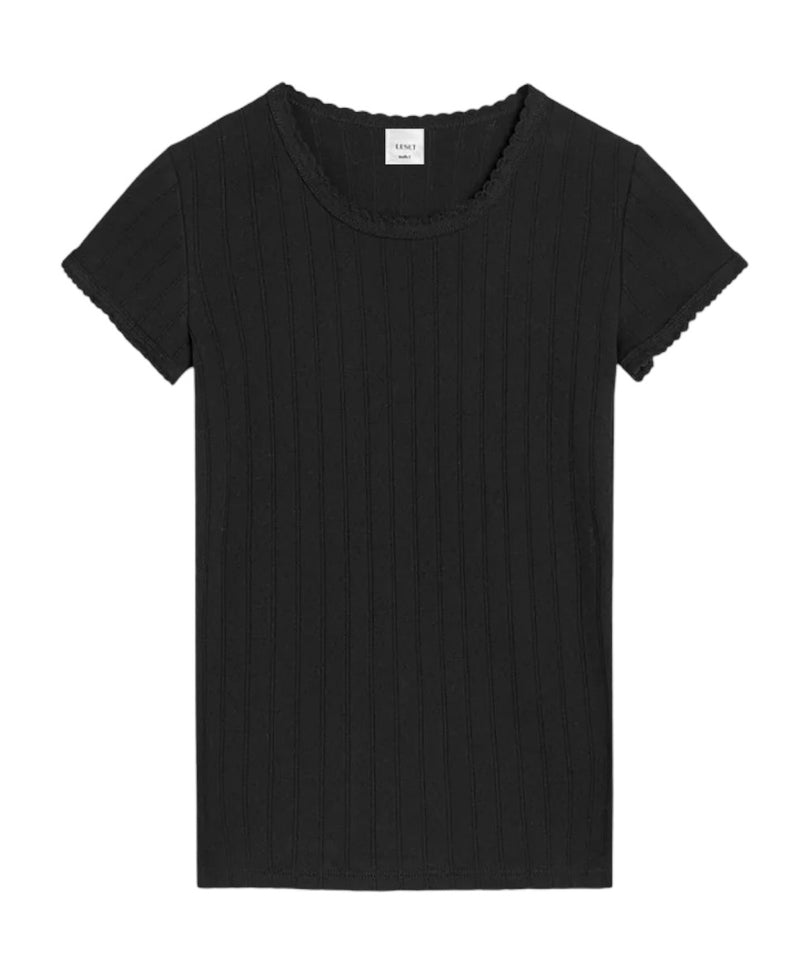 Pointelle Slim Fit Tee  LESET   