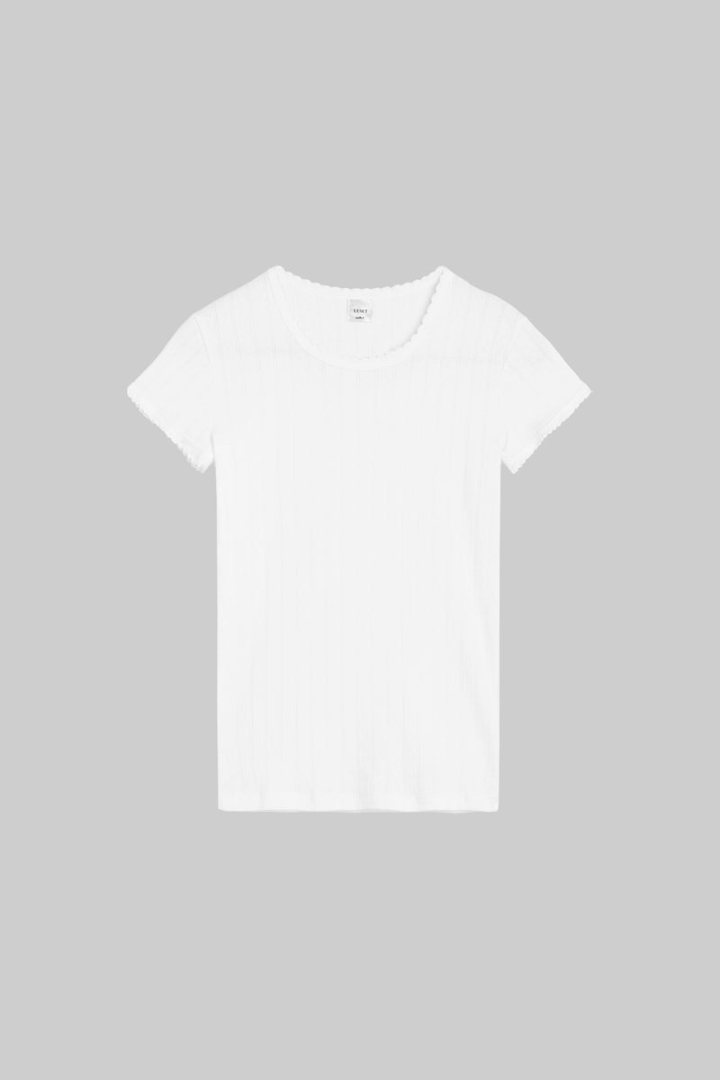 Pointelle Slim Fit Tee  LESET   