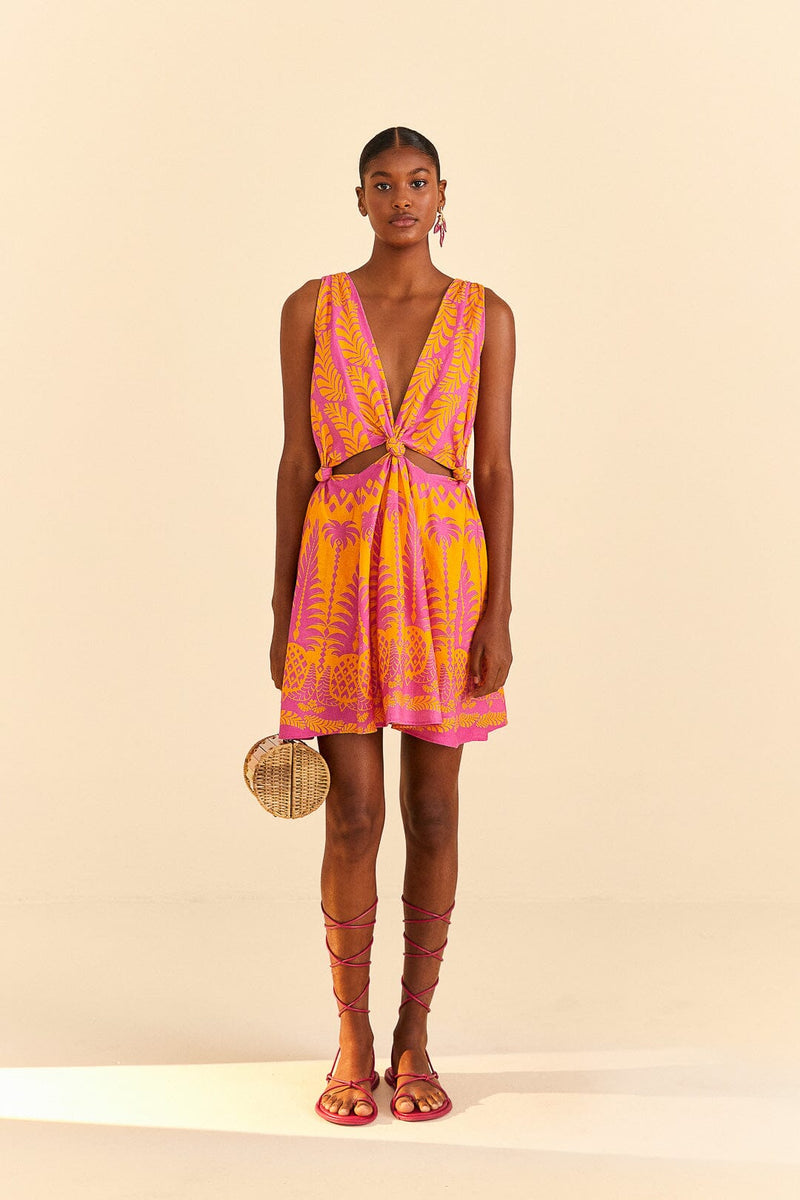 Pineapple Love Mini Dress  Farm Rio   